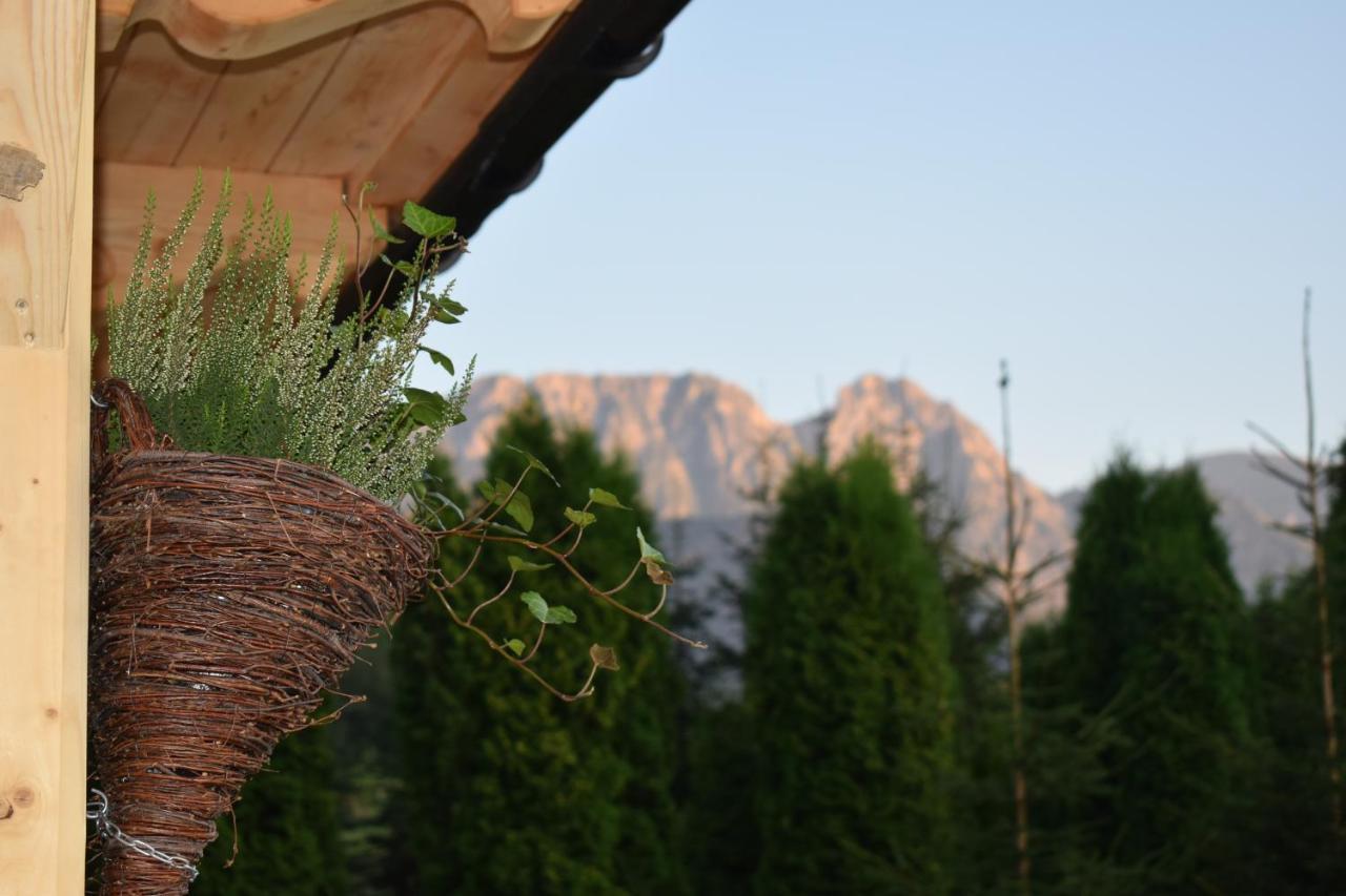 Fiedorowka Villa Zakopane Eksteriør bilde